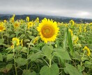 介護から病気の相談、こころの相談まで承ります 悩みを少しでも軽く、アドバイスさせていただきます。 イメージ1