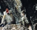 イライラが1秒で消える。ビックリ解決策を教えます 夫に！子どもに！親に！上司に！部下に！もうイライラしない！ イメージ3