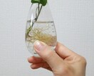 雑誌、チラシ、Web広告用の「ハンドモデル」します 健康的で艶のある手で！指輪、時計、アクセサリー等を際立てます イメージ4