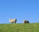 世界を旅した経験から旅行の相談に乗ります 行き先・日数・不安点。旅の相談まとめて受けます イメージ5