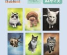 原画をご提供！リアルなペットのパステル画を描きます A5サイズ〜大小様々なサイズに対応します。 イメージ4