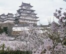 韓国語日本語を翻訳します スピーディー、正確、リーズナブル イメージ1