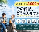 商品・サービスの売り方、販路を一緒に考えます 店舗・催事・法人営業など実体験から販路と売り方を整理します イメージ1