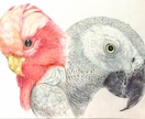 お手持ちの写真がアナログ色鉛筆絵画になります 趣味で色鉛筆画をやりたい…でも手元にあるこの写真手本が欲しい イメージ1