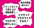 資産アカウントに変える！インスタ戦略全て伝授します 初心者がわずか6か月で1,3万人フォロワー！今までない運用術 イメージ2