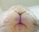 子育て相談、アドバイスで笑顔にします 子育て卒業した今だからこそ悩めるママをサポートして笑顔に！ イメージ3