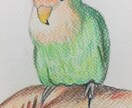 ご希望のモチーフを何でも色鉛筆で描きます 写真とは一味違う貴方だけのオーダメイドの一点物です イメージ8