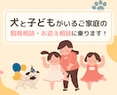 子供と犬がいるご家庭の相談に乗ります これからお迎えの方も！犬と子供の関わりについて話を聞きます イメージ1