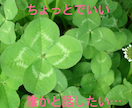 あなたのお話し相手になります 特に何もないけど、誰かと話したい！私とお話ししましょう イメージ1