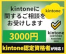 kintoneに関するご相談をお受けします ビデオチャットで開発/運用に関するお悩みをお聞かせください イメージ1
