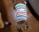 犬のセーターの編み図作ります 愛犬ちゃんにオリジナルデザインのセーターを編んであげましょう イメージ5