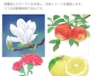 商用◎手描き水彩で心惹かれる花のイラストを描きます カラーラフ修正無制限、ヒアリングが得意です。構図から提案も可 イメージ4
