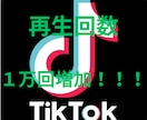 TikTokの動画再生回数増加します TikTok動画宣伝します！動画再生数増加確実です！ イメージ5