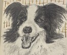 ペットの似顔絵描きます 愛ペットの似顔絵いかがですか？原画お送ります！ イメージ8