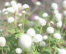 なんでもお話し聞きます 少し低めの声でお送りします。笑　あなたに安心と癒しを提供 イメージ1