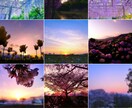 私の感覚での、写真の構図とレタッチをいたします 色の質感を大事にレタッチしてます（╹◡╹） イメージ1