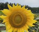 どんな話しでも肯定してお話し聞きます 話しにくいことを話してスッキリ♪ イメージ1