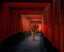 あなたの魂に刻まれた適職や生き方をお伝えします 迷いを晴らし、本来のあなたが輝く道へと導く霊視鑑定 イメージ7