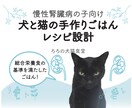 慢性腎臓病の犬・猫の手作りレシピ作ります 慢性腎臓病のための栄養基準に合わせた手作りごはんを作れます イメージ1