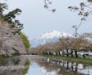 格安・スマホ撮影！青森県の写真撮影代行します 青森市在住の女性ライターが、青森・東北を撮影してきます♪ イメージ9