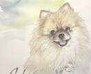 水彩画でうちのこ（ペット）の似顔絵を作成します 温かい手描き水彩で思い出を残そう✳︎プレゼントにも✳︎ イメージ2