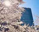 現役ウェディングフォトグラファーが撮影します 初めての方も大丈夫！あなたの魅力を写真で伝えませんか。 イメージ4