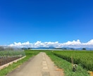 転勤族の住む場所は？幼稚園選びは？一緒に考えます 転勤族の方、転勤族の奥様、1人で頑張り過ぎないで下さい！ イメージ1