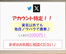 Twitter(X)のアカウント特定代行いたします 採用担当者の方向けサービスです。実名以外でも捜索可！ イメージ1