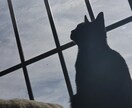 タロット占いで悩みや疲れた心に寄り添います 恋愛・仕事・人間関係に悩んだ私だから出来るタロット鑑定です イメージ1