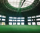 好きなことを仕事にする方法教えます 小規模事績から企業様からの受注まで、実際の経験から教えます。 イメージ1