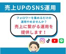 SNSに関するお悩みを解決します どのSNSを活用すべきかを具体的にアドバイスします！ イメージ2