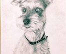 ペットのリアルデッサン描きます プレゼント用 またはインテリア用としてもオススメです！ イメージ7