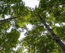 出会いのタイミングと恋愛の流れを霊感霊視で読みます タイミング/エネルギーの流れ/運命/視ます イメージ1