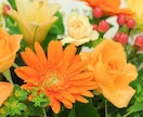 あなたの性格にあった花の名前と、花言葉をお伝えします イメージ1