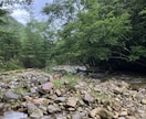 愚痴やモヤモヤをやさしくお聞きしますます 否定せず、あなたの気持ちを大切に受け止めます イメージ1