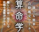算命学自動鑑定ツールで誰でも簡単に本格占いできます 難しい解説一切なし。生年月日と性別で自動命式＋相性も分かる。 イメージ1