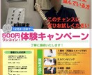 開業歴4年でお客さんを呼んだチラシ作ります おしゃれで目が止まるチラシを作成 イメージ2