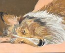 大切なペットを宝石の絵の具で描きます 日本画材（鉱物を砕いた岩絵具）で大切な家族を描きます イメージ4
