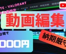 フォトナ・ヴァロのキル集納期厳守でつくります 納期無視で、連絡が途絶えたりしてしまった経験があるあなた！ イメージ1