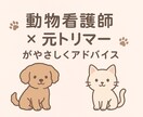 ペットの体調・ケア・美容相談のります 元トリマー×動物看護師です大切な家族のお話聞きます イメージ1