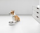 なんでも話し相手になります AIじゃ物足りない人！居場所になります！ イメージ1