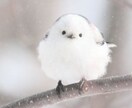 誰かとちょこっと話したいとき、1分でもお話聞きます 雑談から悩み事まで！お試し1分から！途中で切っても大丈夫！ イメージ5