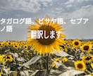 日本語⇔タガログ語orビサヤ語セブアノ語翻訳します 日本人である私とフィリピン人である妻のダブルチェック！ イメージ1