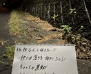 何かを話したい方ぜひ聞きます 特に具体的な内容が無くても構いませんよ。 イメージ1