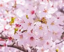 職場の問題や今の仕事との向き合い方を占います 職場の関係で悩んでいませんか？解決のお手伝いをさせてください イメージ1