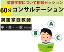 英語学習について相談会（コンサル）をします 英語学習について、あなたに合った方法を分析・計画を立てます。 イメージ1