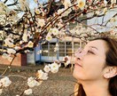 看護師が、貧血の不安や悩みをそっと解決に導きます 貧血に対しての不安や悩みを１人で抱えていませんか？ イメージ3
