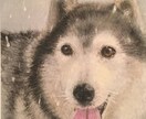 ペットや人の似顔絵を書きます 素敵、カッコいい、おしゃれな雰囲気をモットーにしています イメージ3