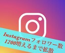 Youtube再生回数１０００増加まで拡散します 【期間限定２００個いいね付】まとめてオーダーで更にお得に！ イメージ8