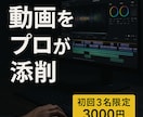動画診断＆改善　プロがあなたの動画をレビューします 動画の違和感を言語化し、即改善の具体案を提案します イメージ1